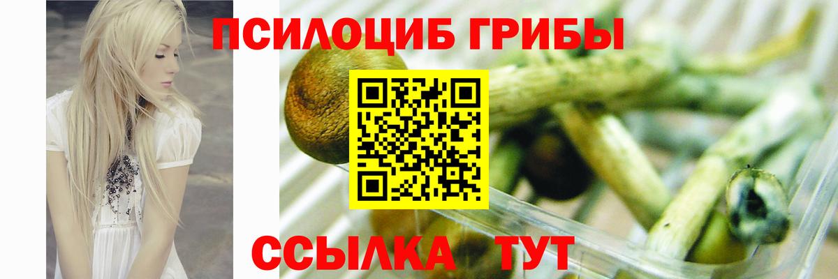 Галлюциногенные грибы Psilocybe  Вход с VPN  наркотики  Лысьва 